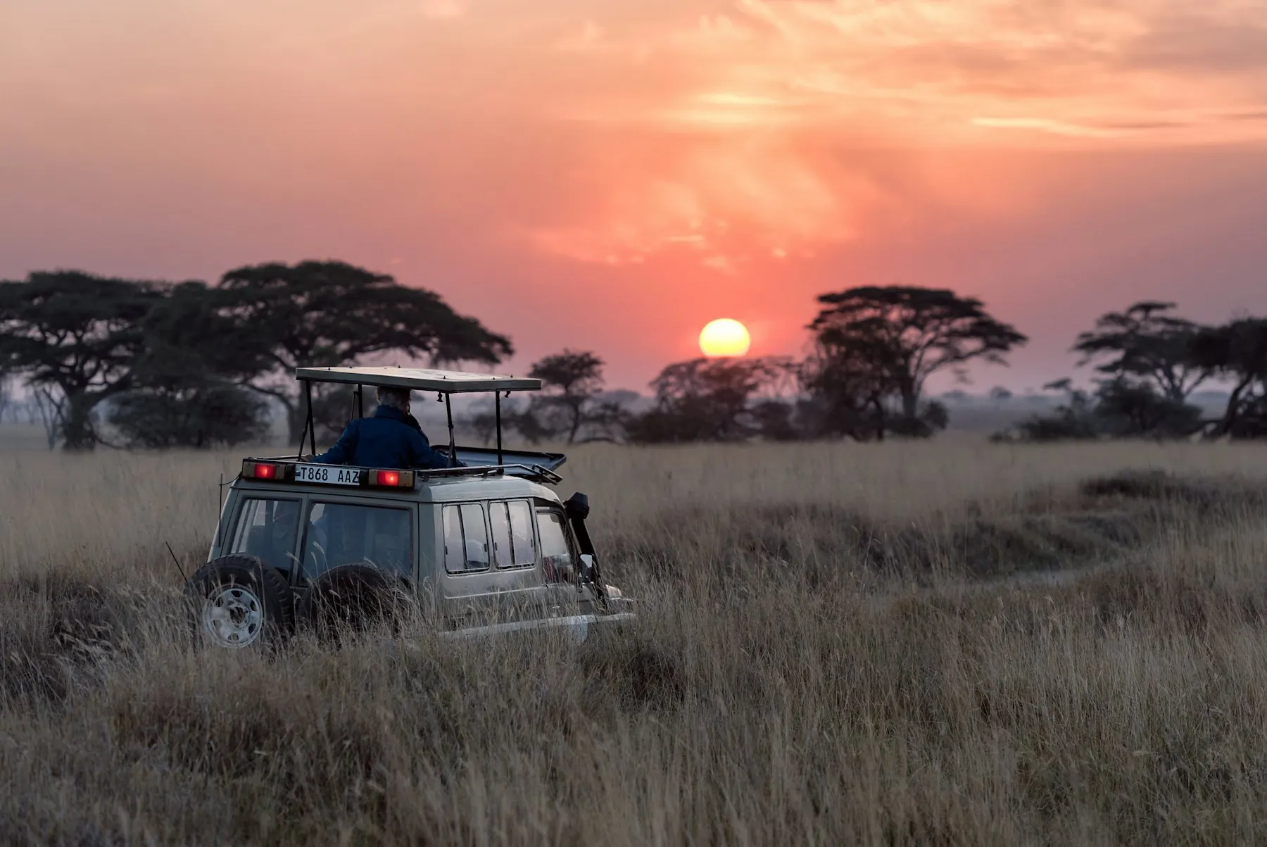 Open-sided safari vehicle on a track with the sun low behind trees